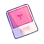Paint Swatch: Rose