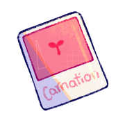 Paint Swatch: Carnation