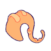 59wQR9cE5W219-image.png