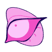 CLPC8du5gC14-image.png