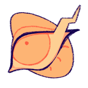 GyLrDdOes0318-image.png