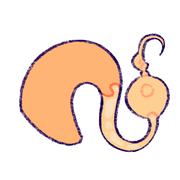 Jcy5WnNm25271-image.png