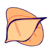 L7Tf4Vm9Uv284-image.png