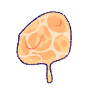 LOT34GTlIm134-image.png