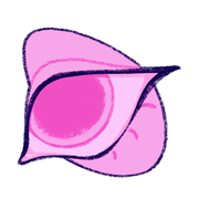 Msk2fS20YV16-image.png