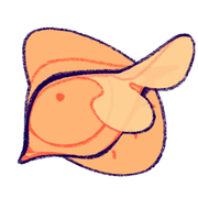 P2IouQlYhb267-image.png