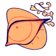 PXUpBNdEaJ218-image.png