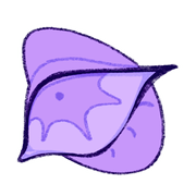 SgyaGIdHcS13-image.png