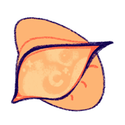 eyYGUFbQeU315-image.png