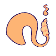 kejbDOhoVB286-image.png