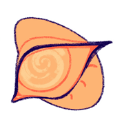 mwFjirY46r222-image.png