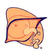 nklRVpJMaO277-image.png