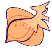 nn4YRcoQtS150-image.png