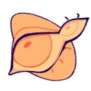 ovpYumjZL4309-image.png