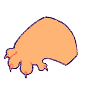 qdXe66Nr5X146-image.png